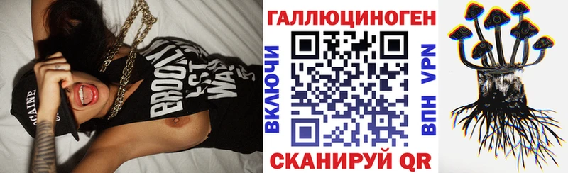 blacksprut ССЫЛКА  Плёс  Псилоцибиновые грибы Magic Shrooms 